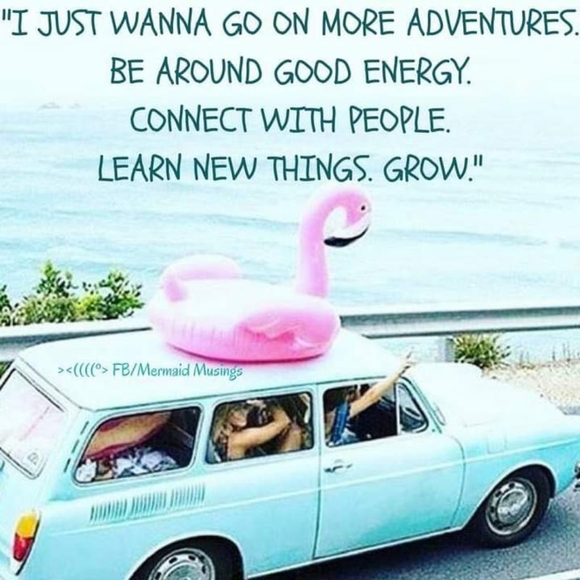 Meet your Posher, Michelle - Picture 6 of 12